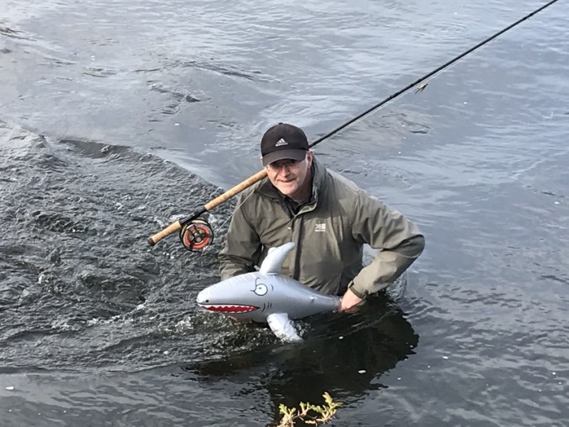 Feisty little fella - MH of Swansea